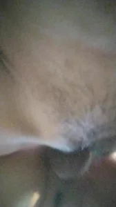 肛交偷情人妻骚母狗。0371/027美女、女m、绿帽、绿奴联系